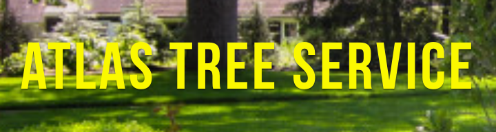 Sioux Falls tree trimming & removal by Atlas Tree Service. 24/7 emergency, ash borer experts. Call now!