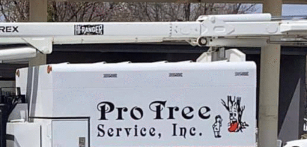 Sioux Falls tree trimming & removal by Pro Tree Service. Expert insect control, storm damage. Call now!