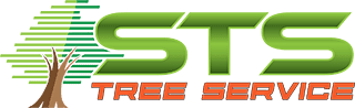 Sioux Falls tree trimming & removal by STS Tree Service. Professional stump grinding, emergency cleanup. Call now!