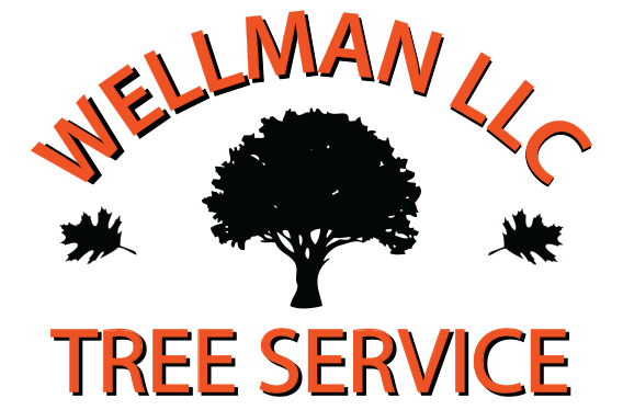 Sioux Falls tree trimming & removal by Wellman Tree Service. Safe large tree handling, grove care. Call now!