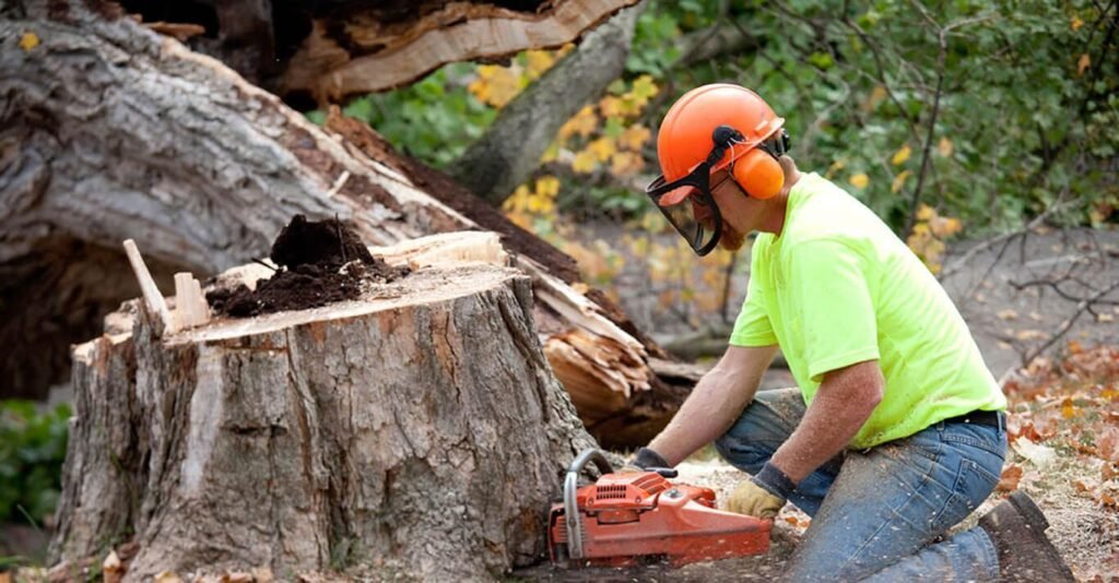 A professional cutting a tree with a chainsaw in Sioux Falls SD, showcasing 2025 tree trimming services.